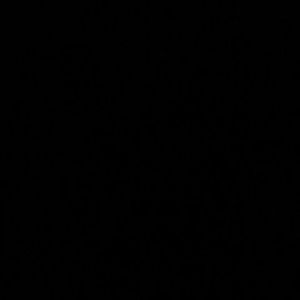 Meet your Posher, Darnell